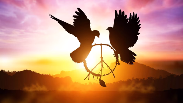 Wereld Denkdag: Thema Peacebuilding